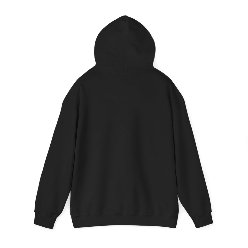 Declarative by Default — NixOS Hoodie