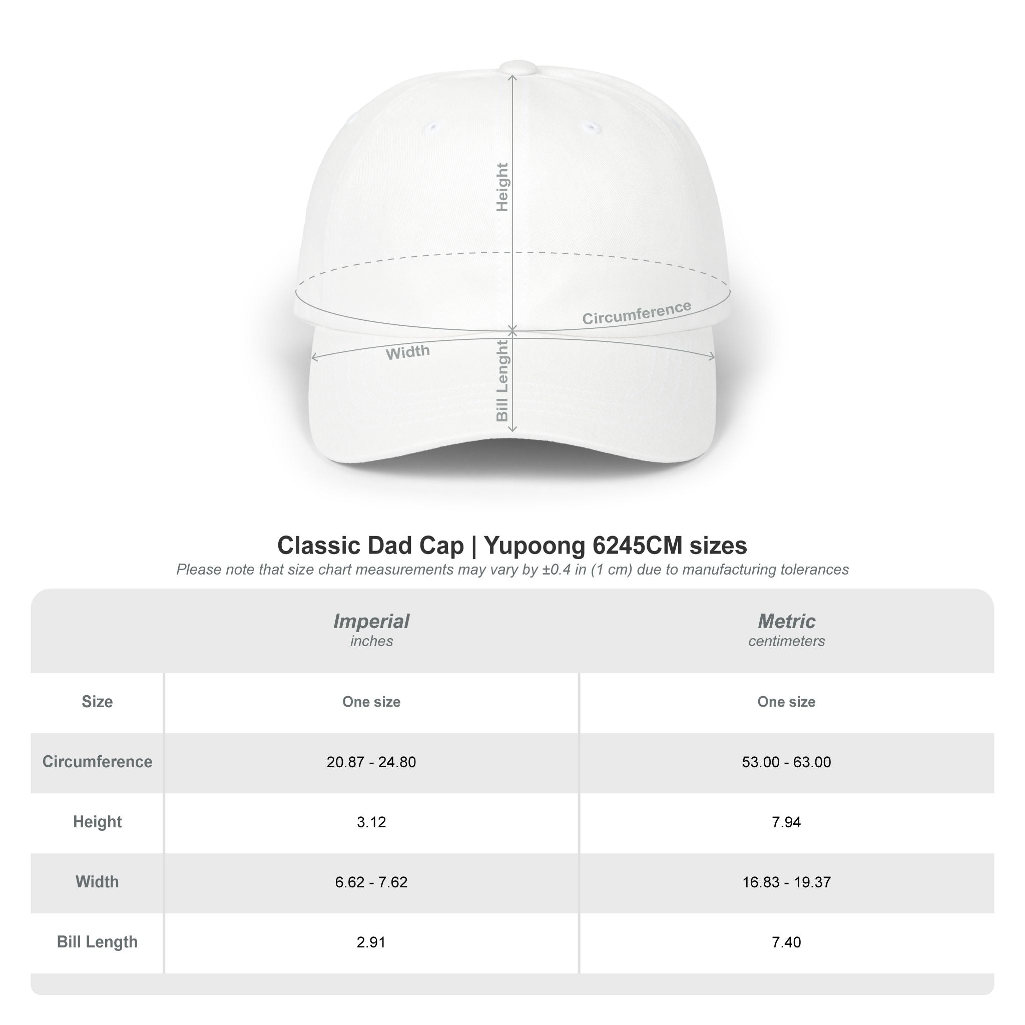 AI Era Cap
