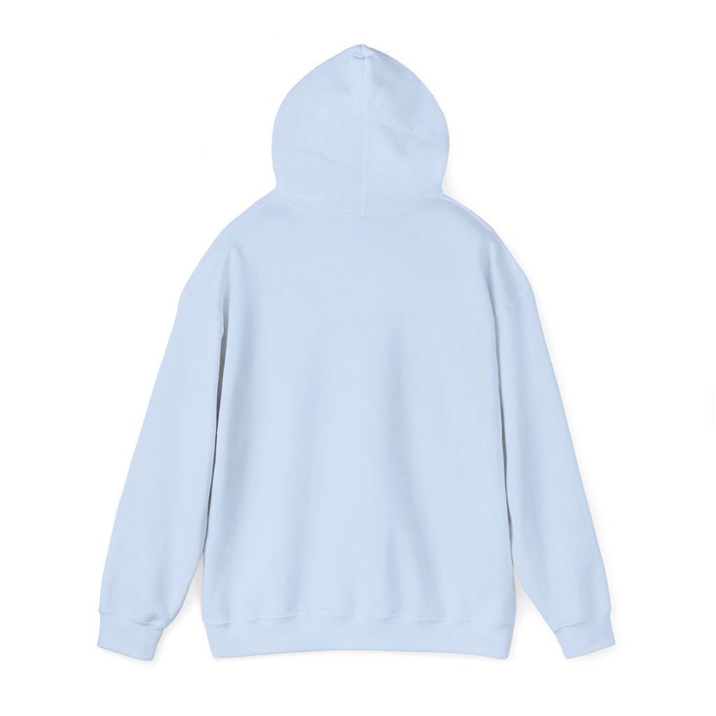 Declarative by Default — NixOS Hoodie