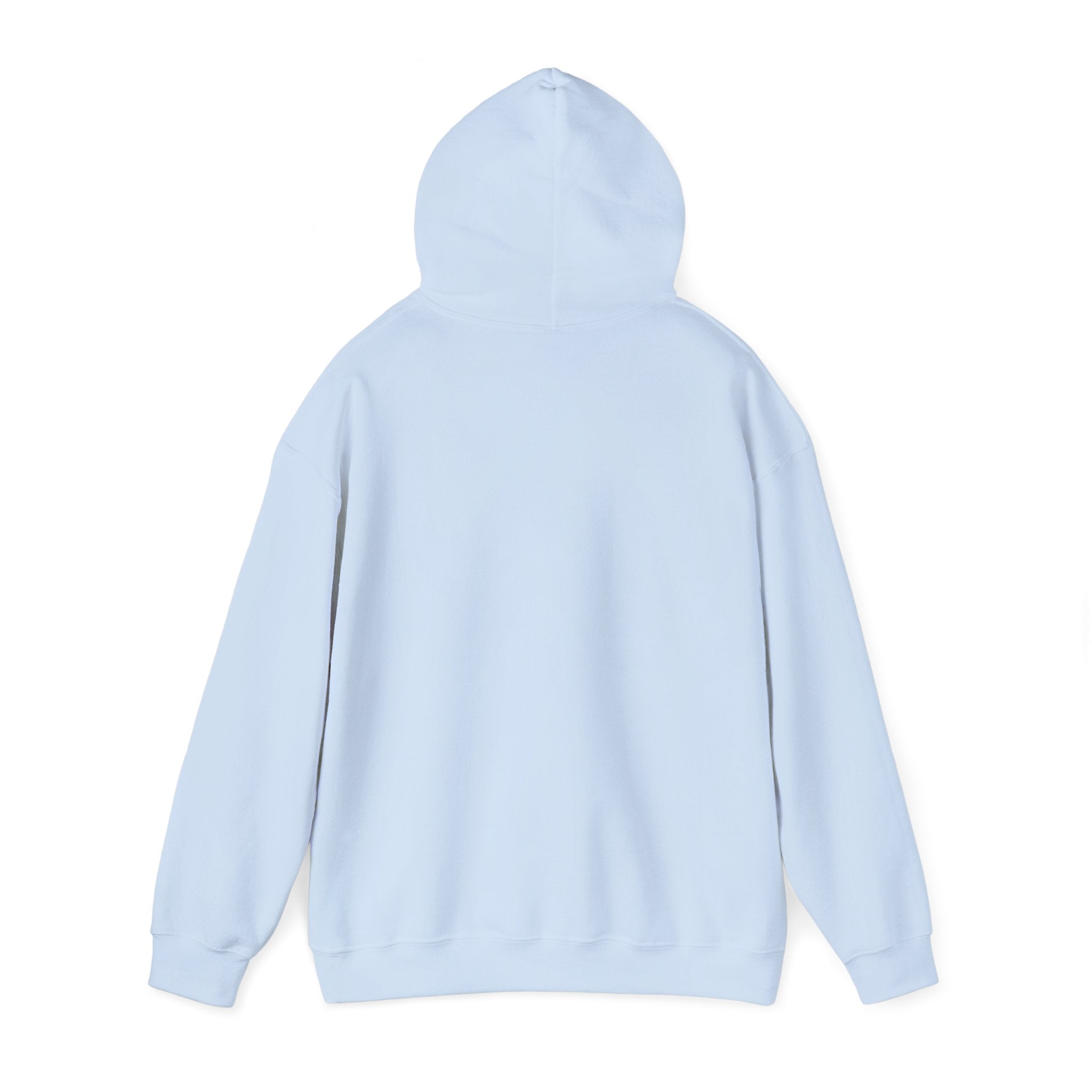 Declarative by Default — NixOS Hoodie